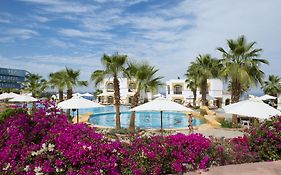 Amphoras Blu Ultra (Adults Only)
